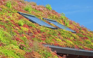 Clotton Common living roof systems