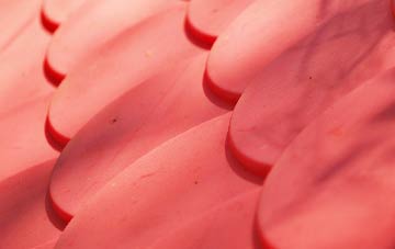 Clotton Common plastic roof costs