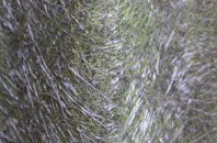 Clotton Common fibreglass roof work