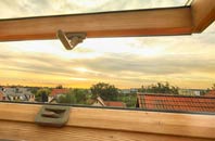 rated Clotton Common roof window companies